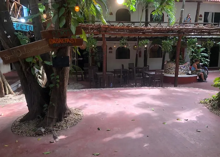 Hostal Mx 5Th Avenue