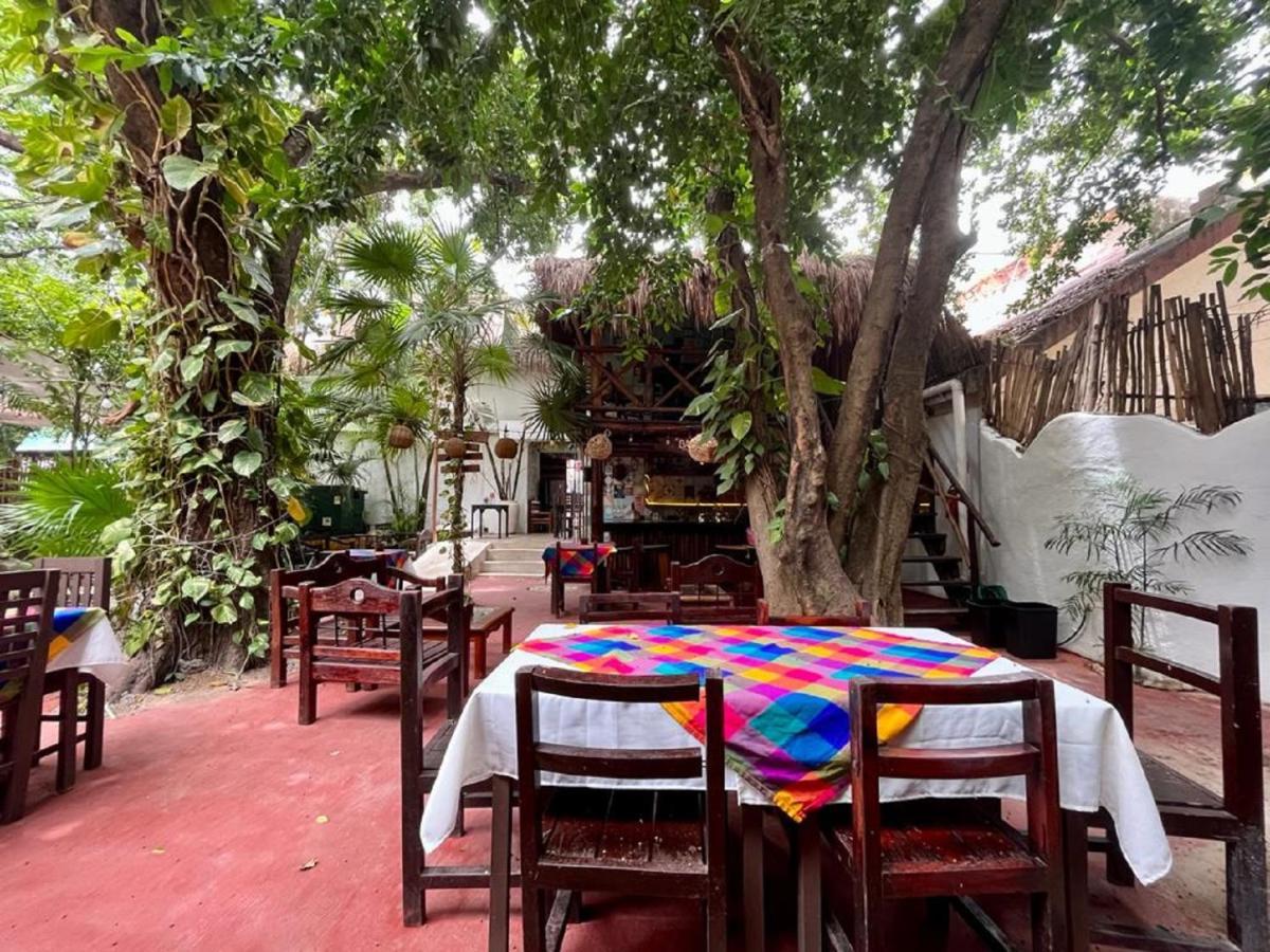 Mx 5th Avenue Hostal